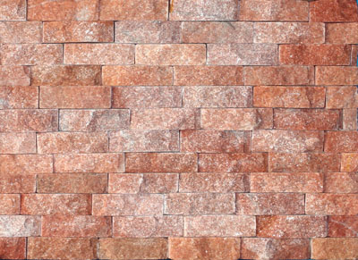 093Natural Quartzite Stone Paneling.jpg